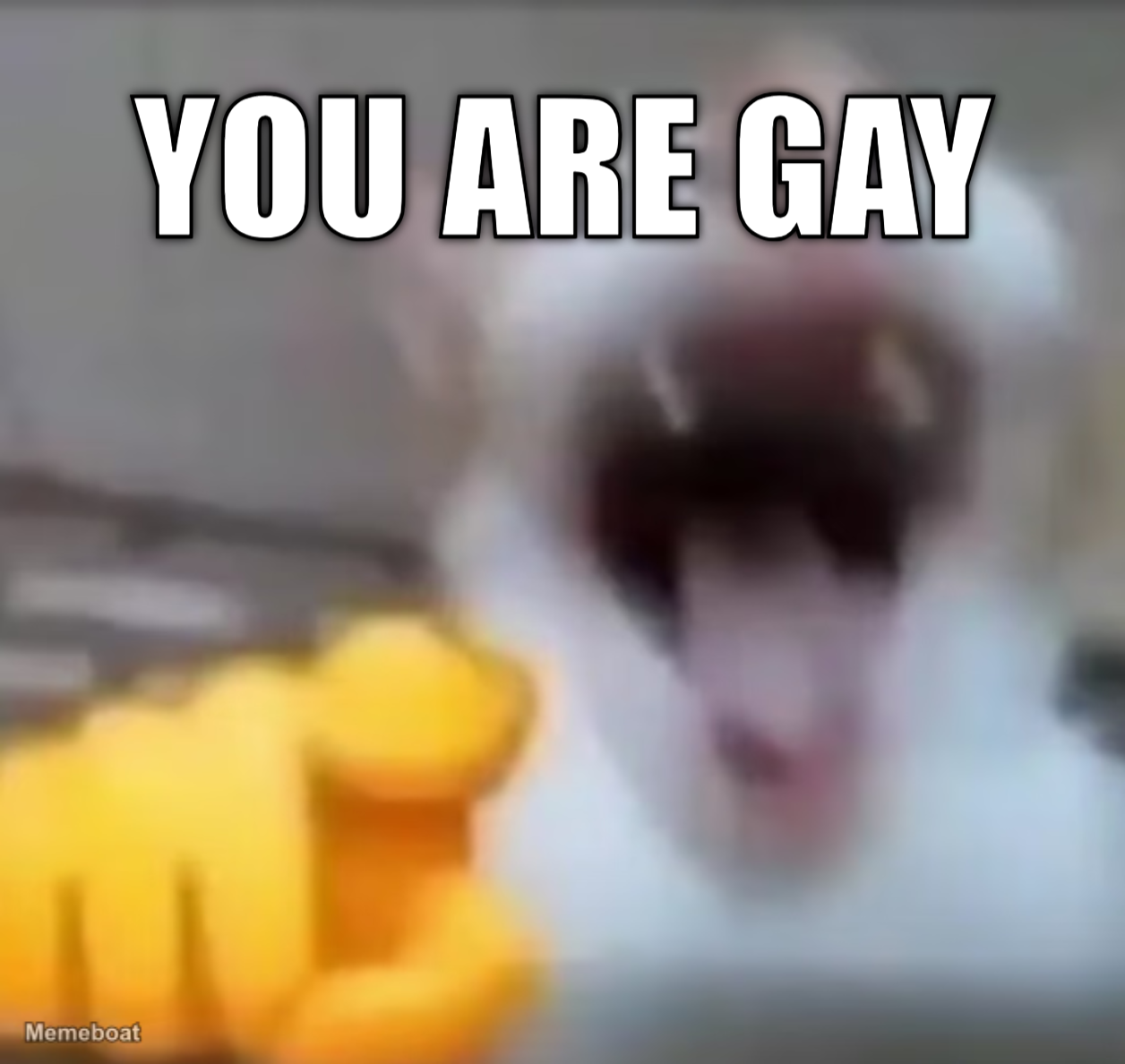 meme